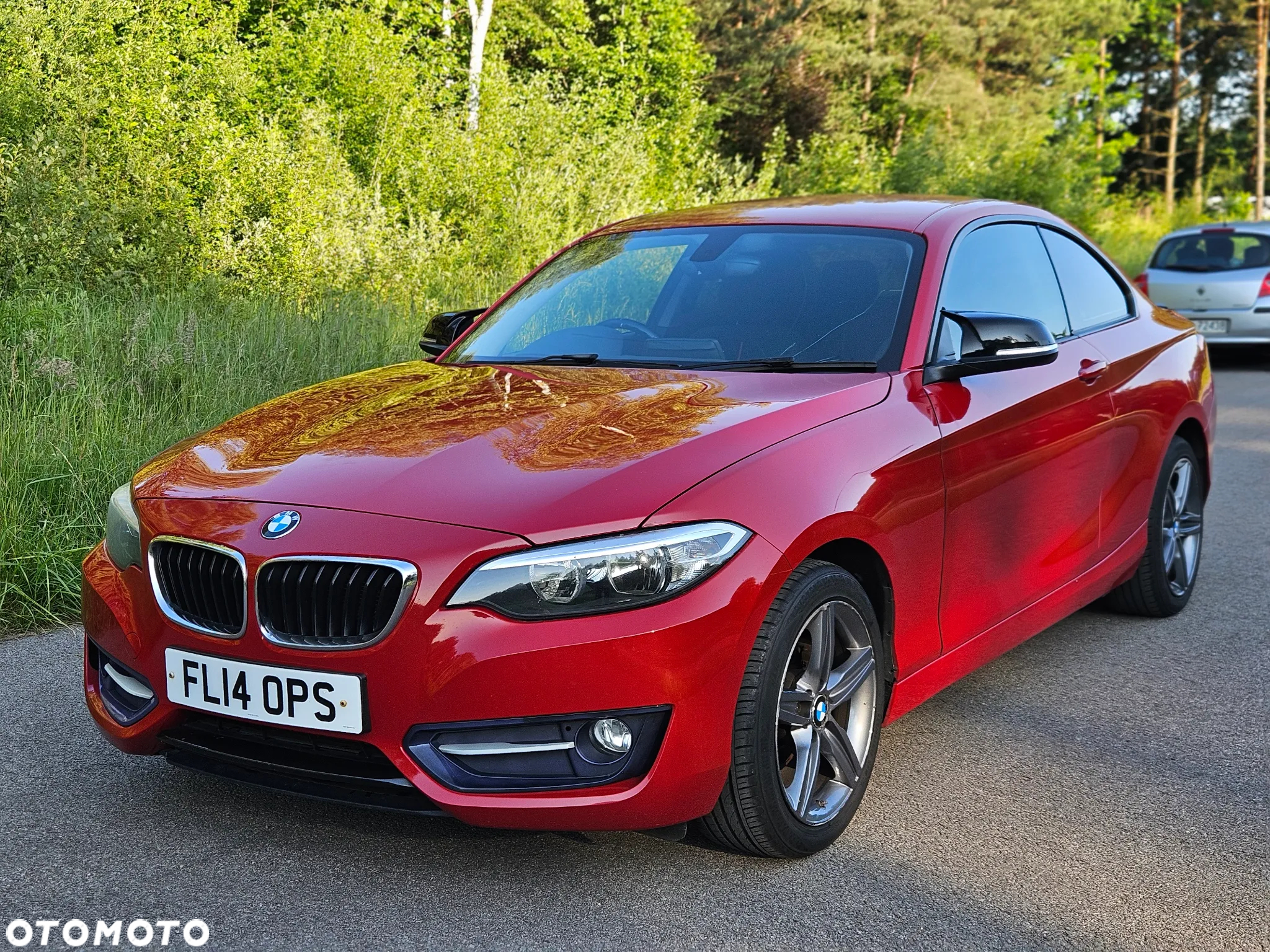 BMW Seria 2 218d Coupe Sport Line - 13