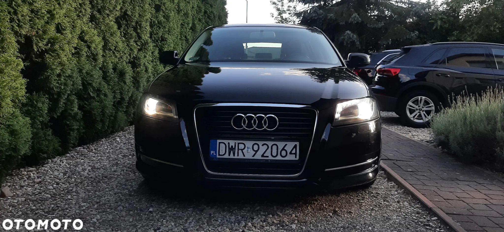 Audi A3 1.6 TDI DPF Ambiente S tronic - 1