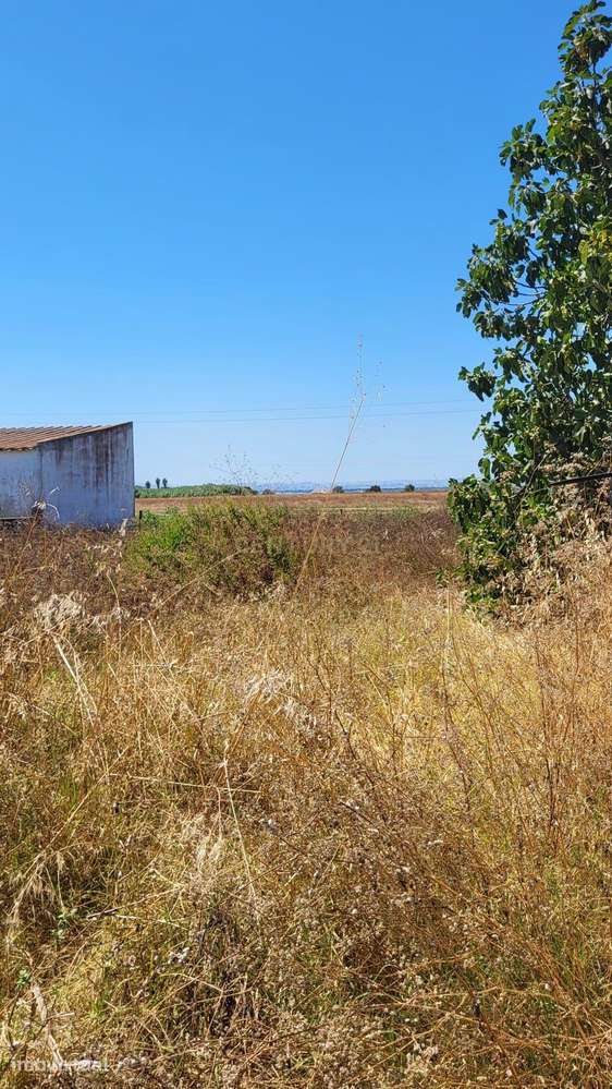 Terreno em Sarilhos Grandes, Montijo - Grande imagem: 3/7