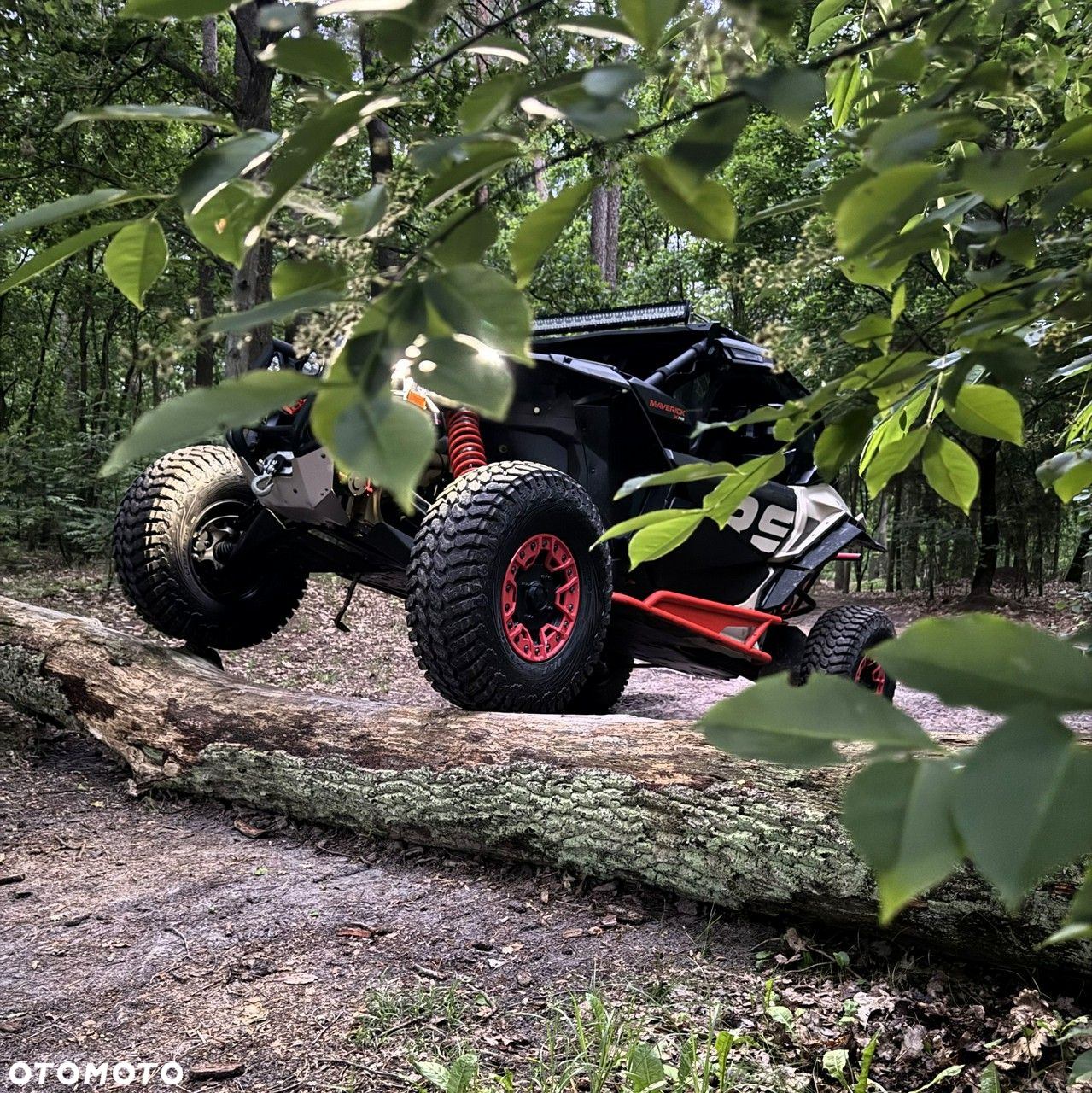 Can-Am Inny - 2