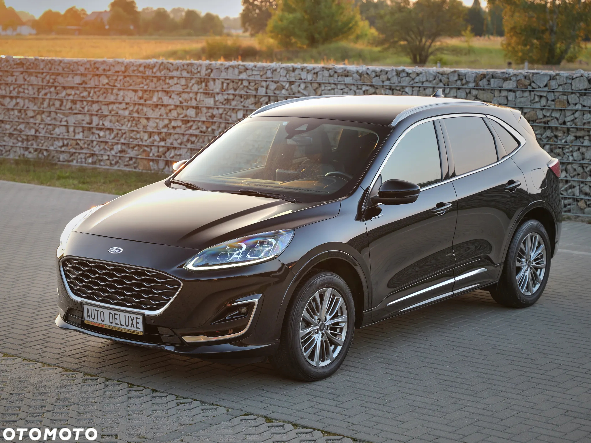 Ford Kuga 2.5 FHEV FWD Vignale - 2