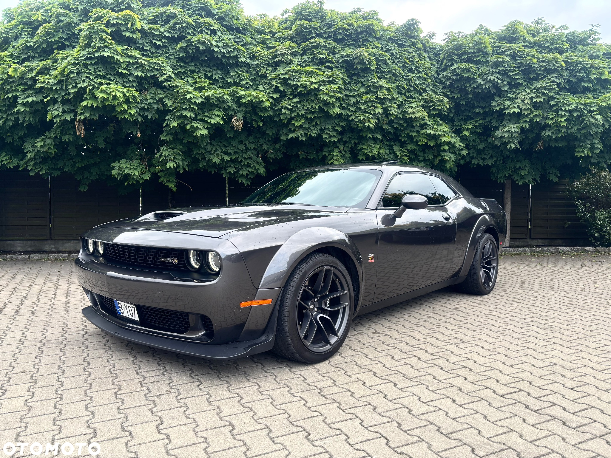 Dodge Challenger 6.4 Scat PackWidebody - 16