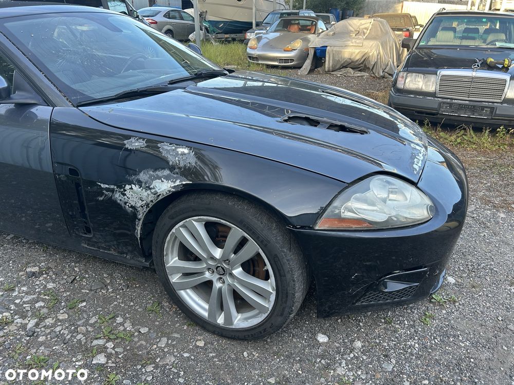 Jaguar Inny - 3
