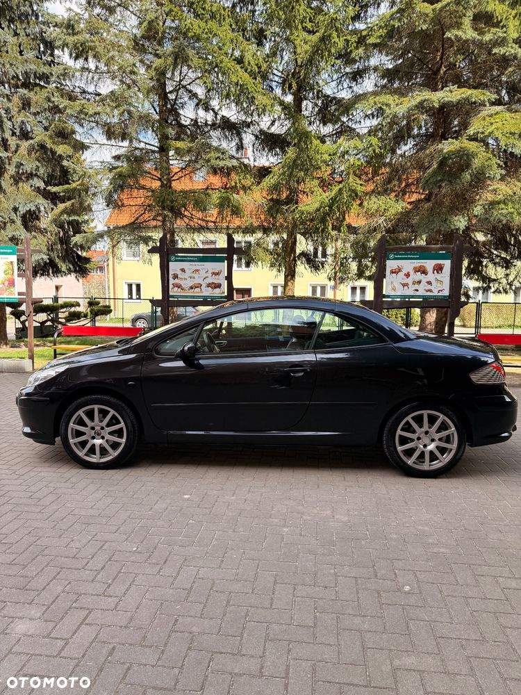 Peugeot 307 CC 2.0 - 7