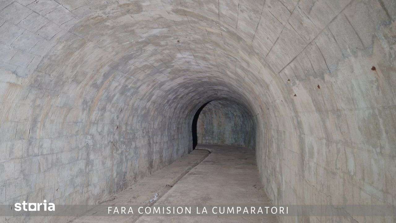 Poza 9