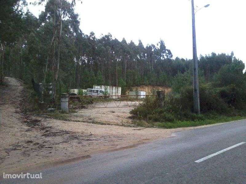 Terreno Rústico Para Construção De Moradia - Landal / Caldas Da Rainha - Grande imagem: 2/5