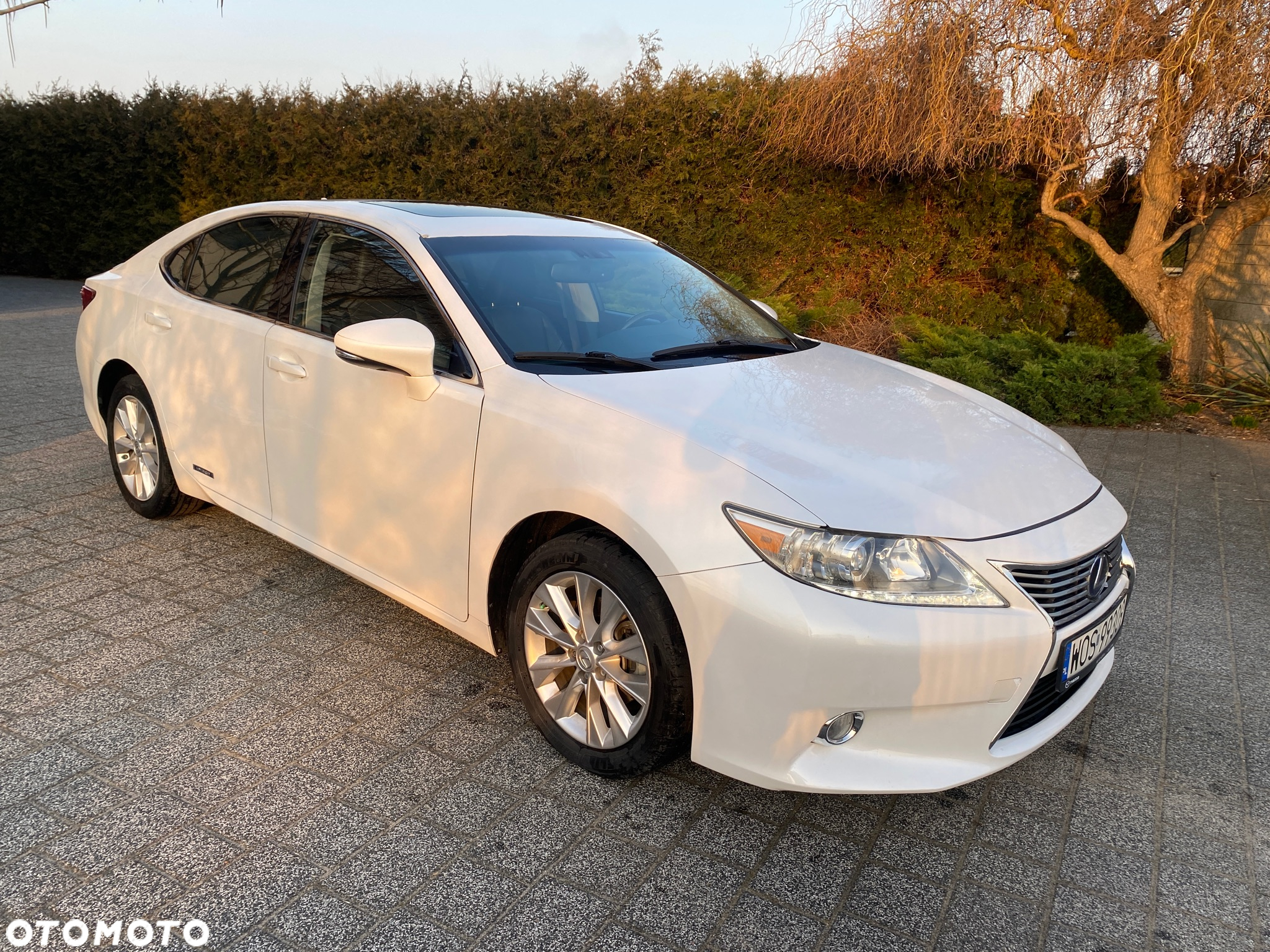 Lexus ES 300h Prestige - 10