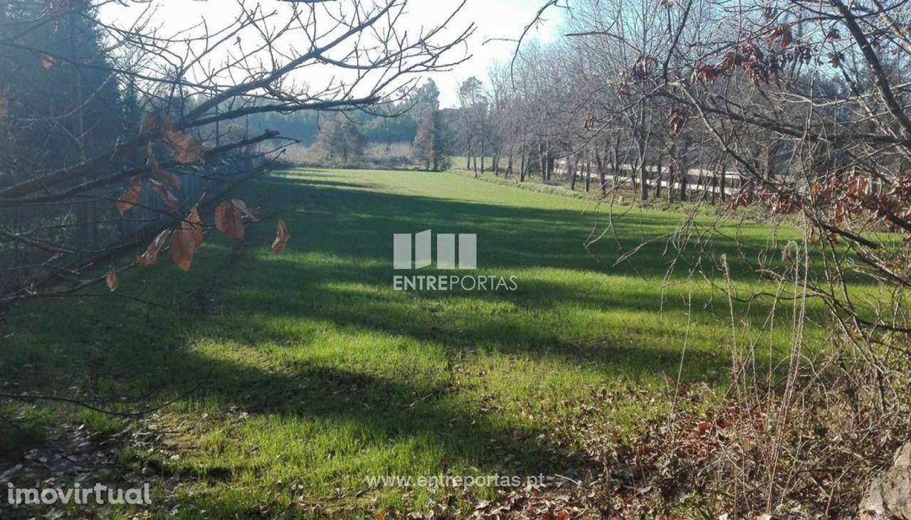 Venda Terreno, Folgosa, Maia - Grande imagem: 3/8
