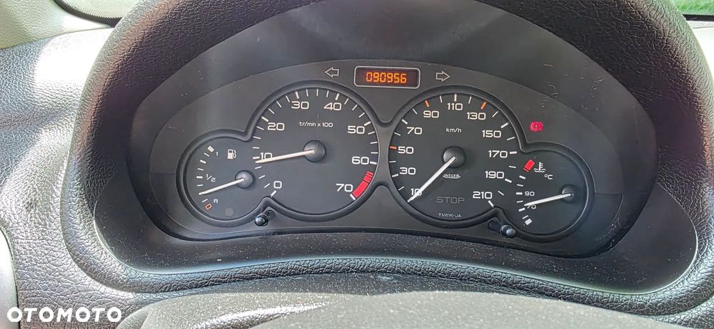 Peugeot 206 - 17