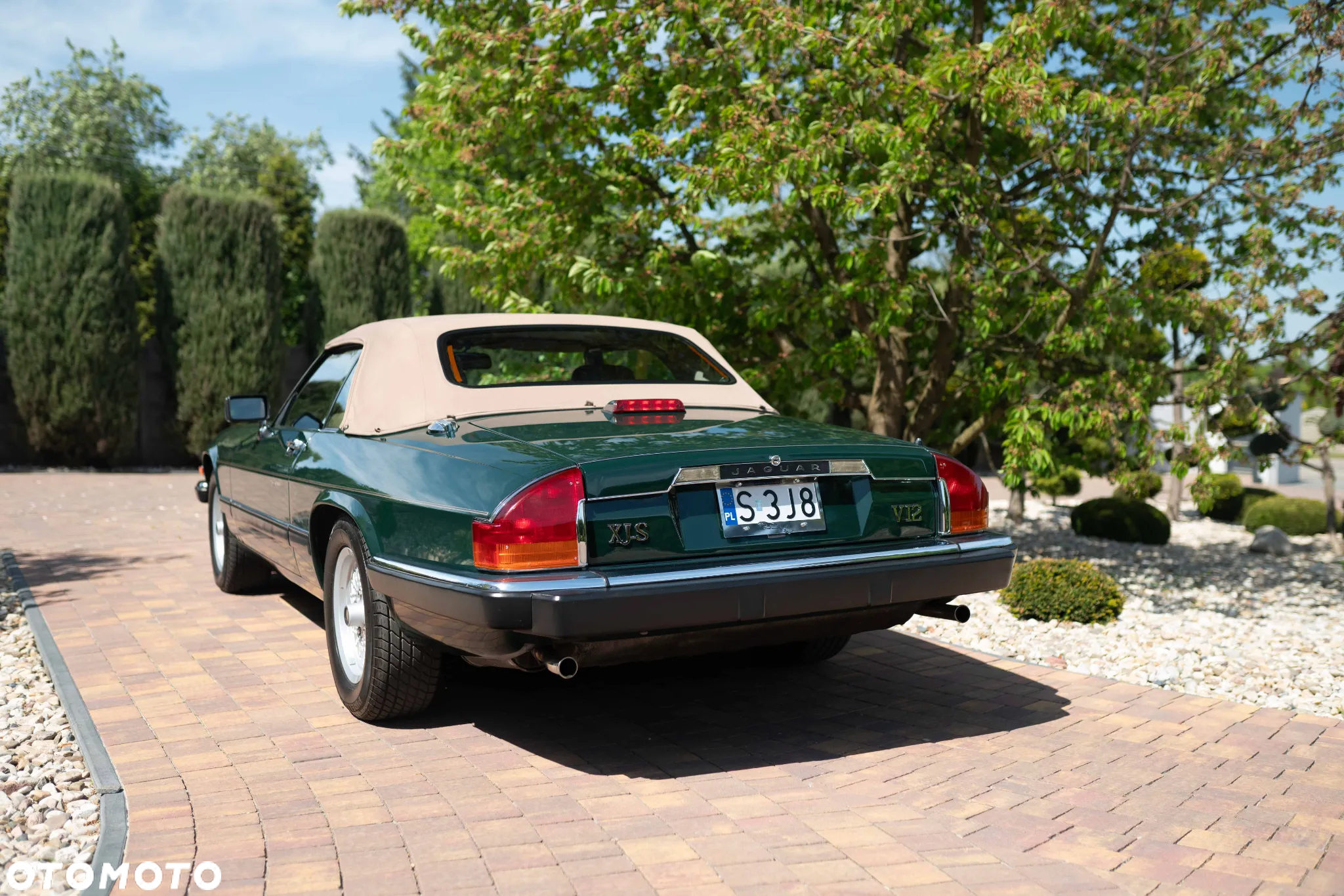 Jaguar XJS - 12