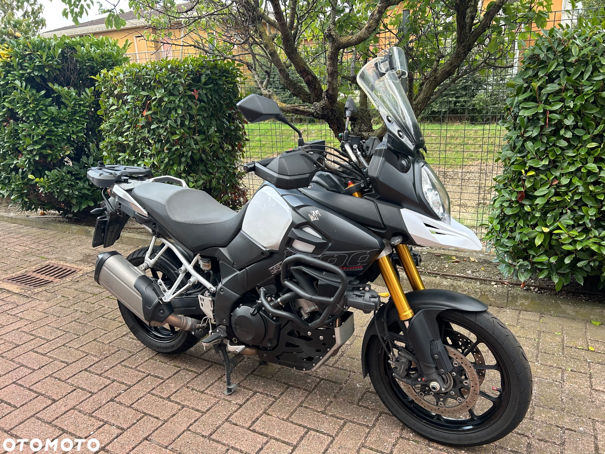 Suzuki V-STROM - 10