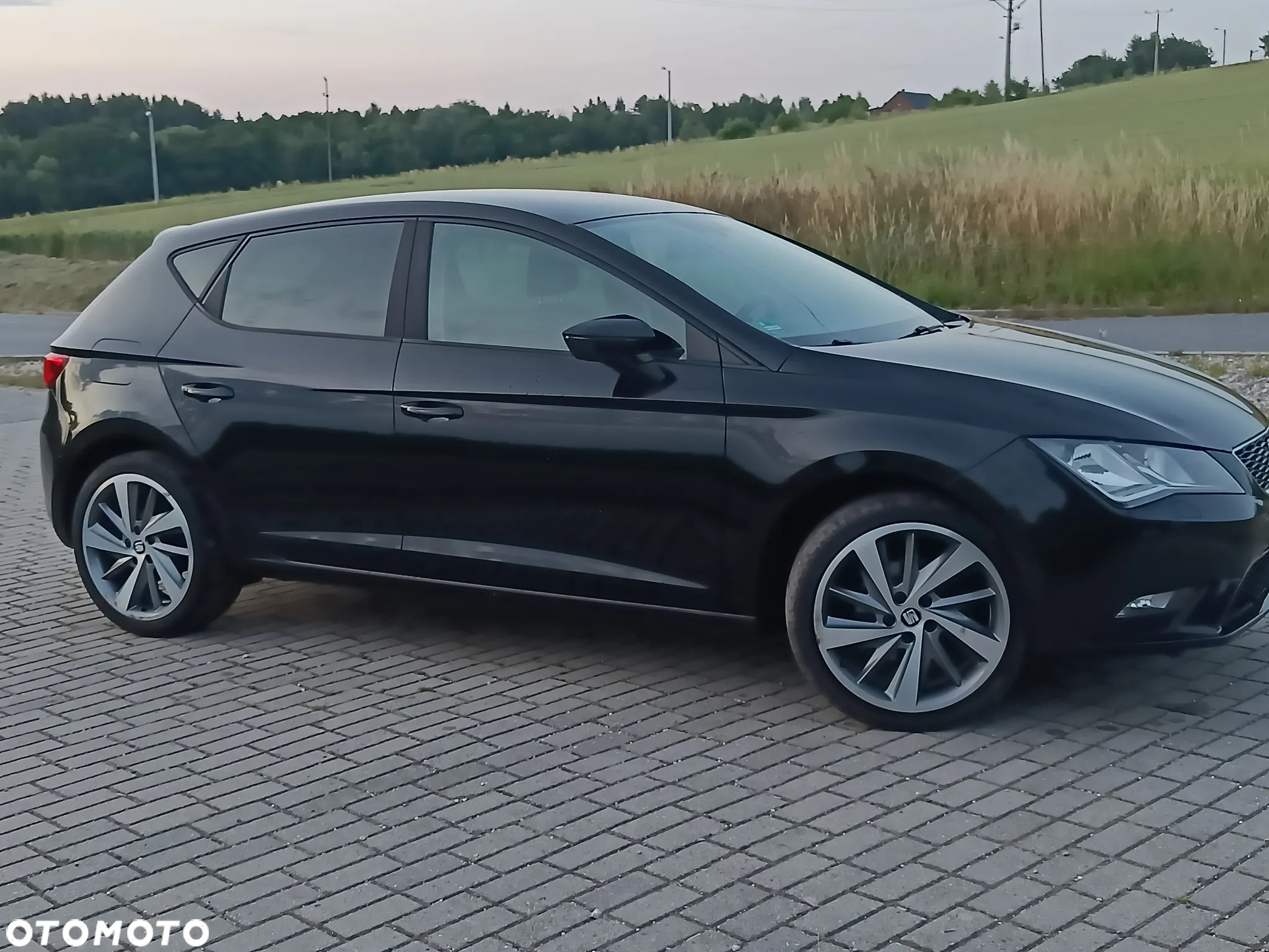 Seat Leon - 13