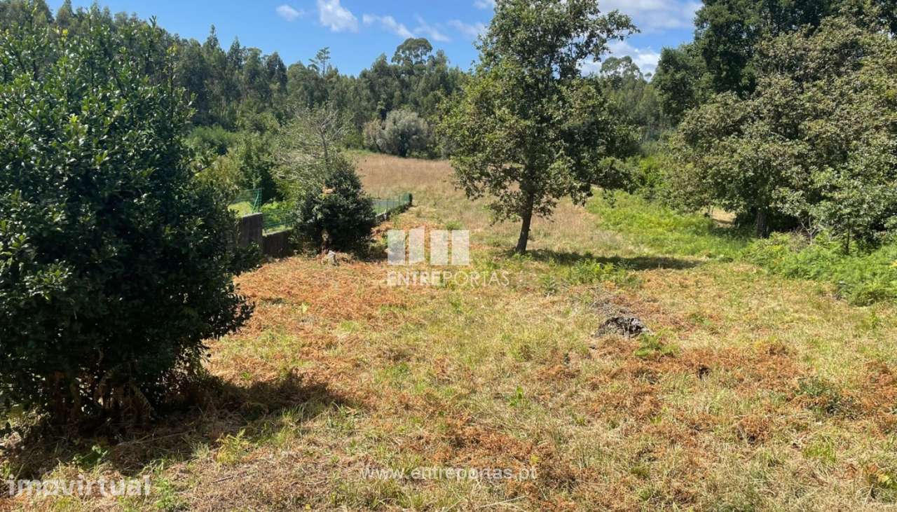 Venda de Terreno com 6272 m², Nogueira, Viana do Castelo. - Grande imagem: 3/30