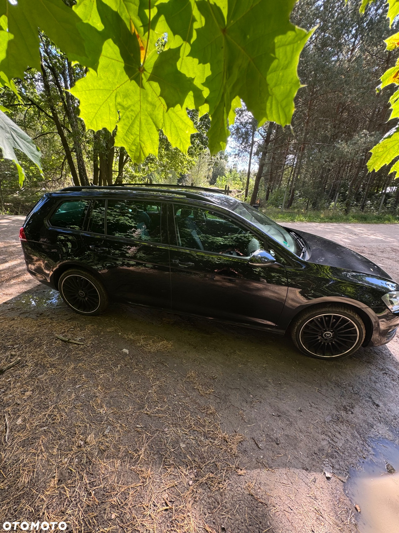 Volkswagen Golf Variant 1.6 TDI DPF 4Motion Highline - 6