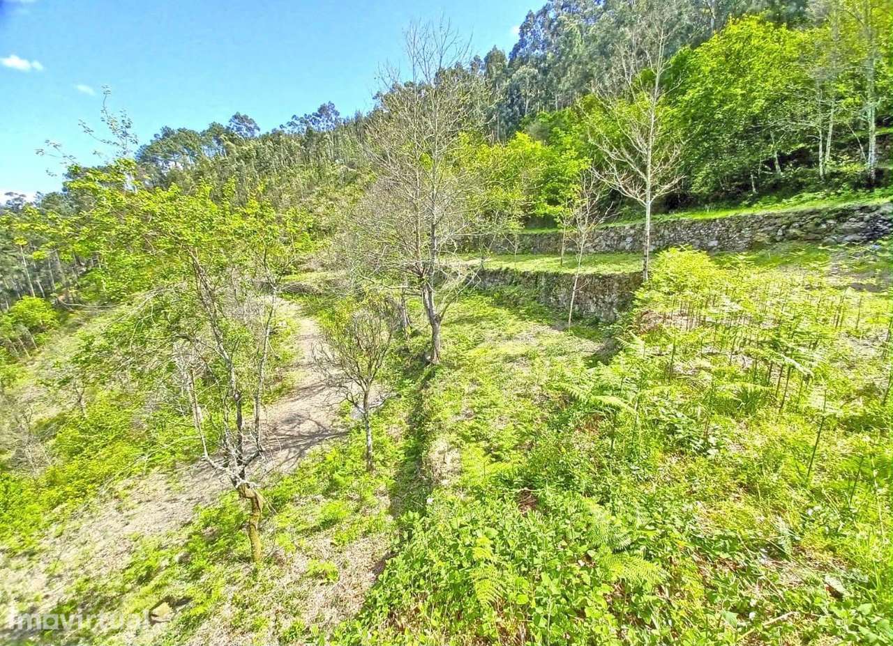 Quinta no Douro para Turismo Rural - Grande imagem: 4/12