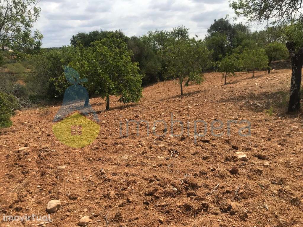 TERRENO RÚSTICO 1.200m2 ZONA BONITA E TRANQUILA - Grande imagem: 4/17