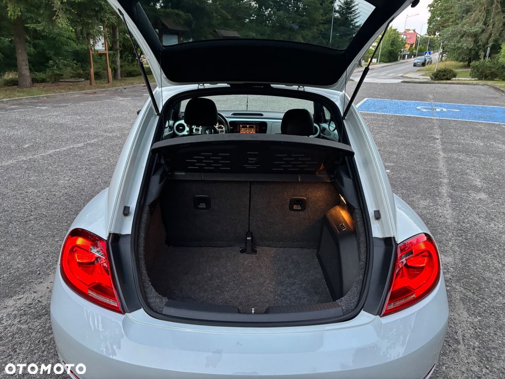 Volkswagen Beetle - 20