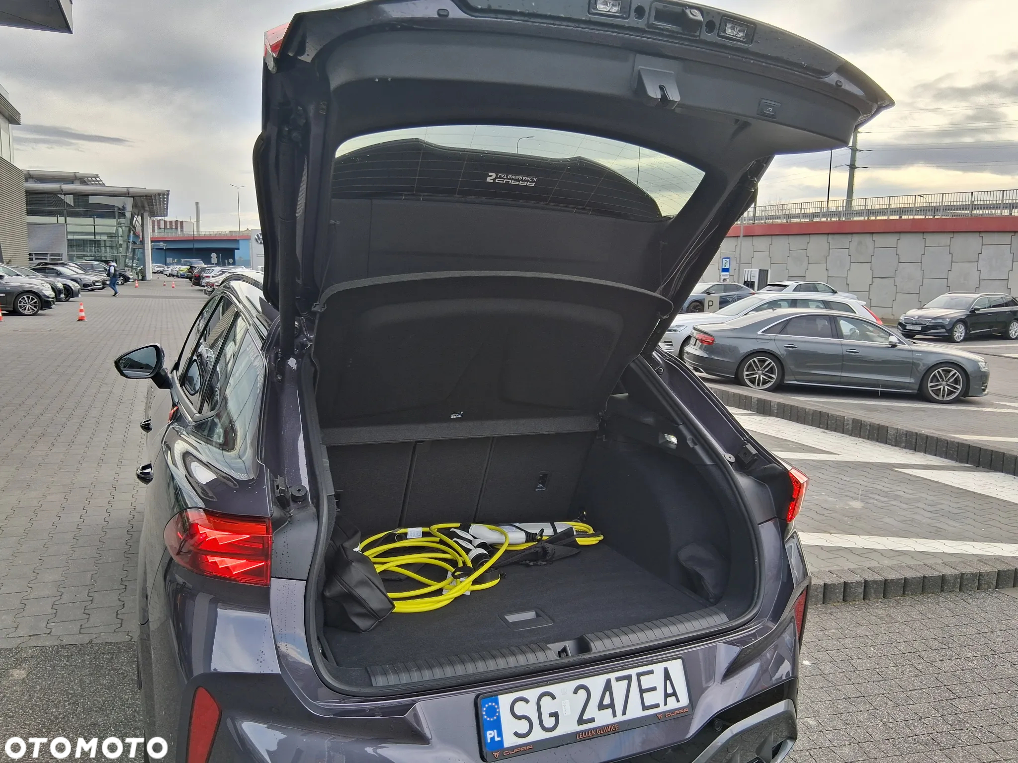 Cupra Terramar - 20
