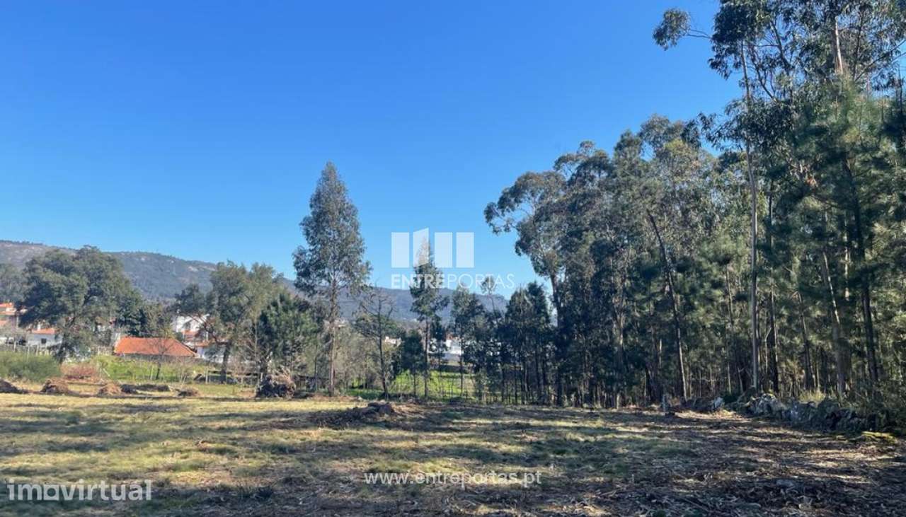 Venda de Terreno para construção, Tregosa, Barcelos. - Grande imagem: 2/30