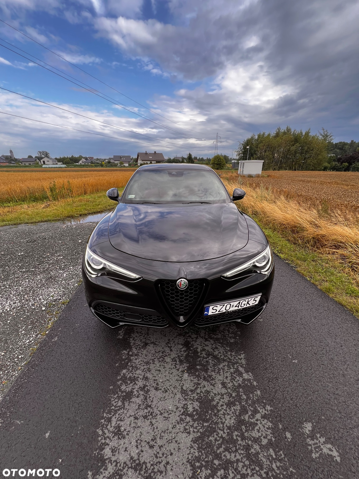 Alfa Romeo Stelvio 2.0 Turbo Veloce Q4 - 12