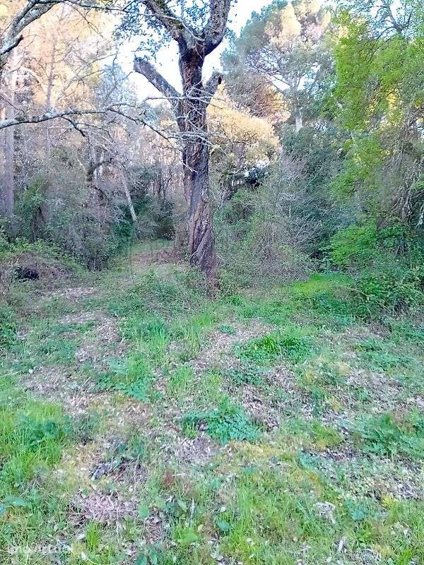 Terreno  para venda - Grande imagem: 4/7