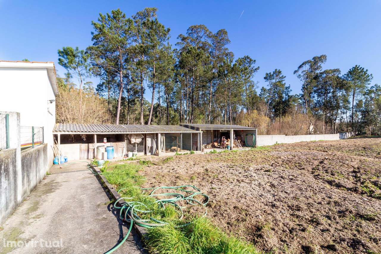 Excelente  Moradia T3+1 - Grande imagem: 5/12