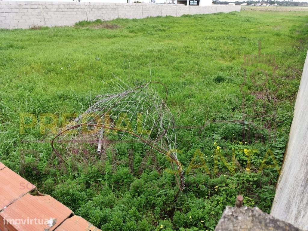 Terreno para Construção - Foros de Salvaterra - Grande imagem: 4/4