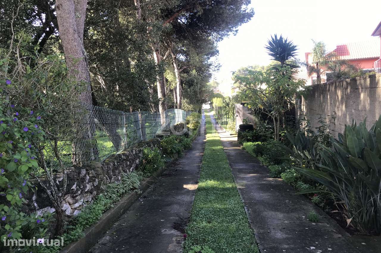 Terreno com 4520m2 para equipamentos e serviços em Aldeia de Juzo - Grande imagem: 5/32