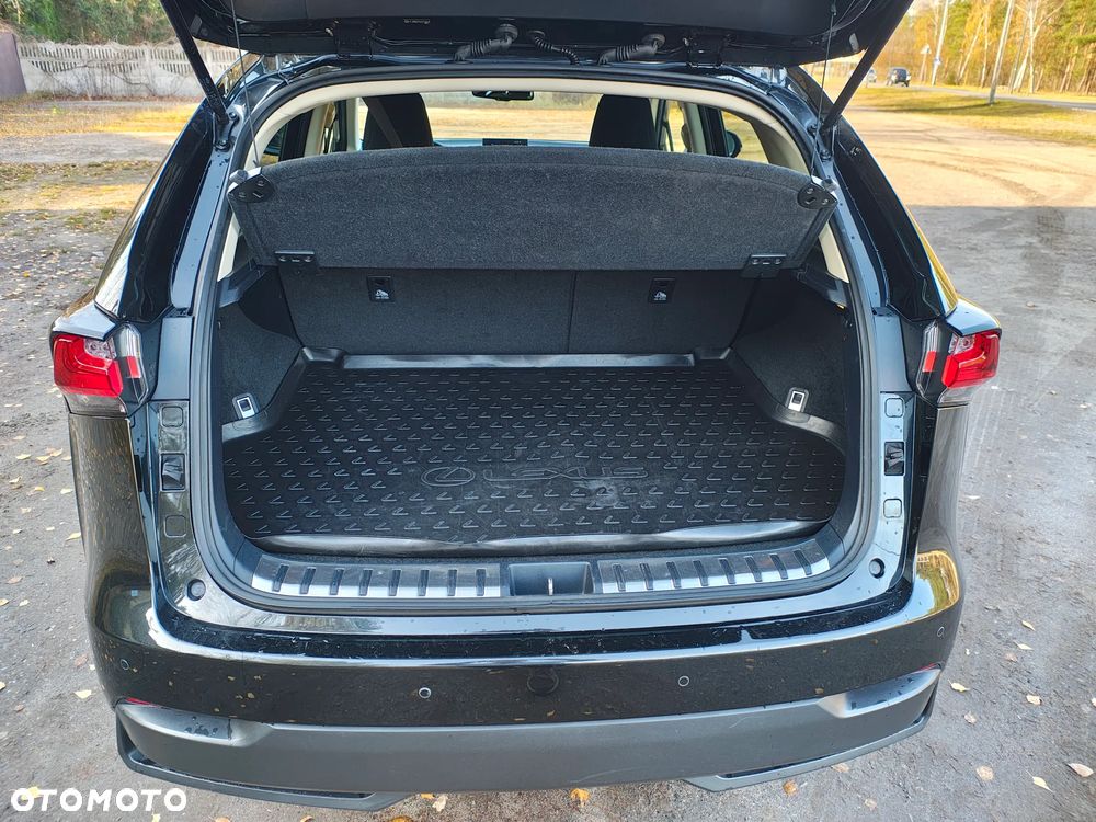 Lexus NX 300h Elegance 2WD - 20