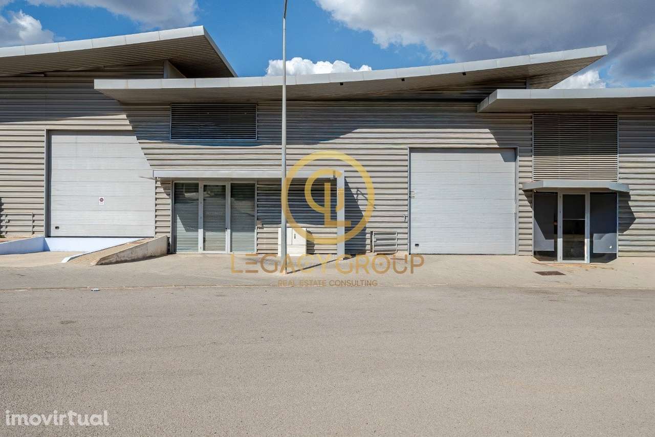 Armazém Moderno + Negócio de Bricolage em Tunes - Grande imagem: 2/34