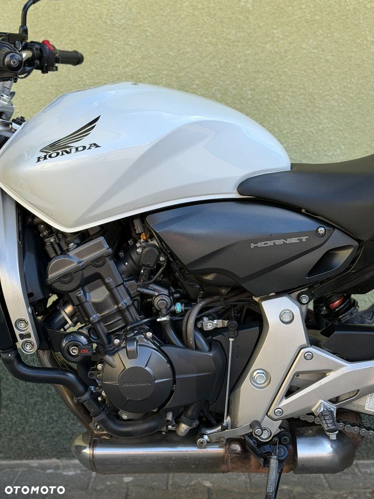 Honda Hornet - 24