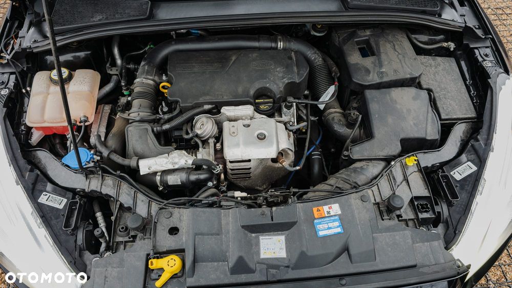 Ford Focus 1.0 EcoBoost SYNC Edition ASS - 15