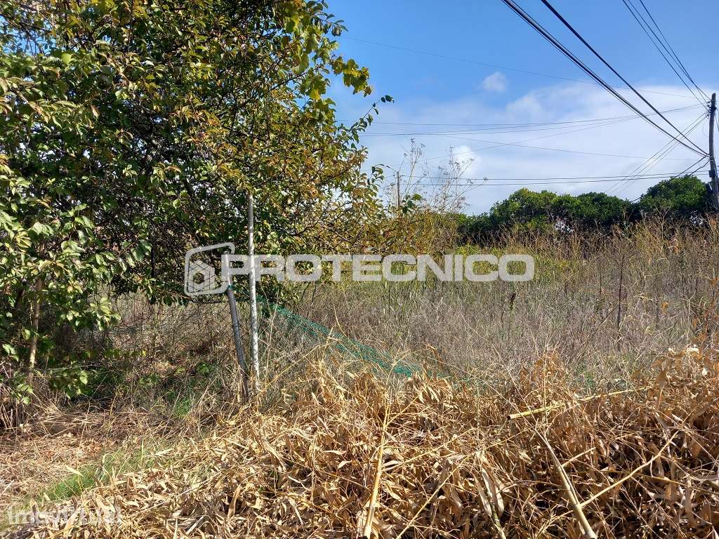 Terreno Misto em Ílhavo – Excelente Oportunidade de Investimento - Grande imagem: 5/5