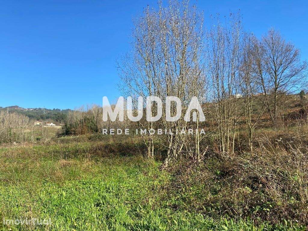 Terreno Plano de 700m2 - Grande imagem: 3/16