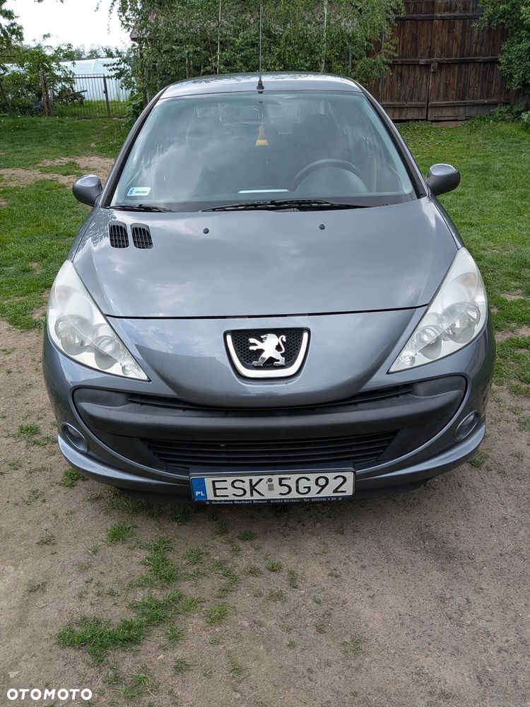 Peugeot 206 plus - 1