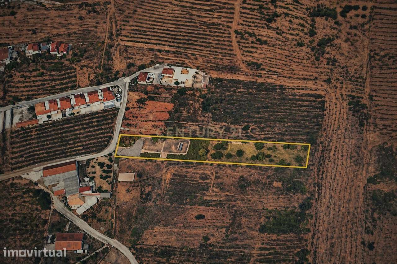 Terreno com PIP aprovado | 3.680 m² | Vista Serra de Montejunto - Grande imagem: 2/17
