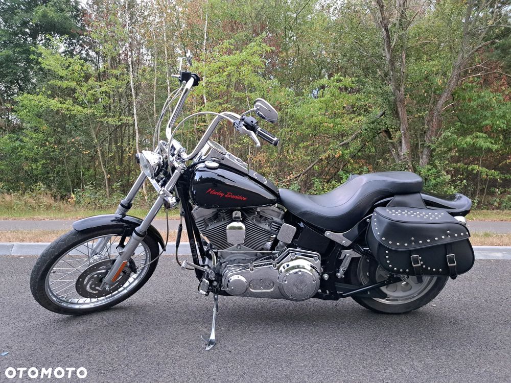 Harley-Davidson Softail Standard - 1