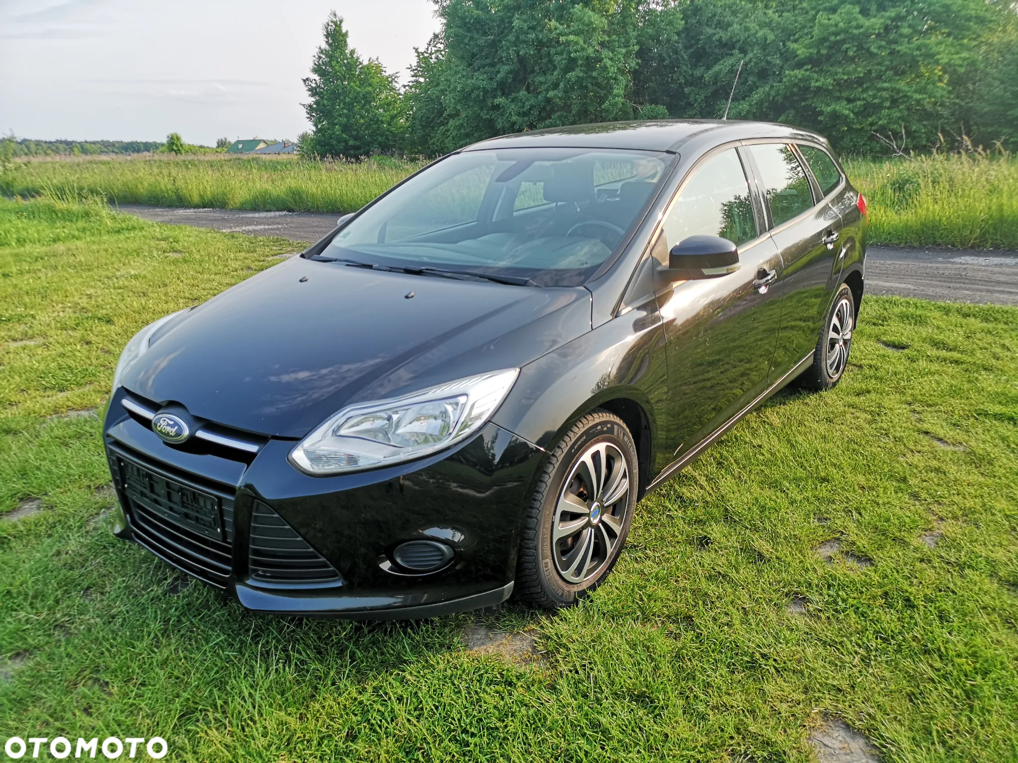 Ford Focus - 11
