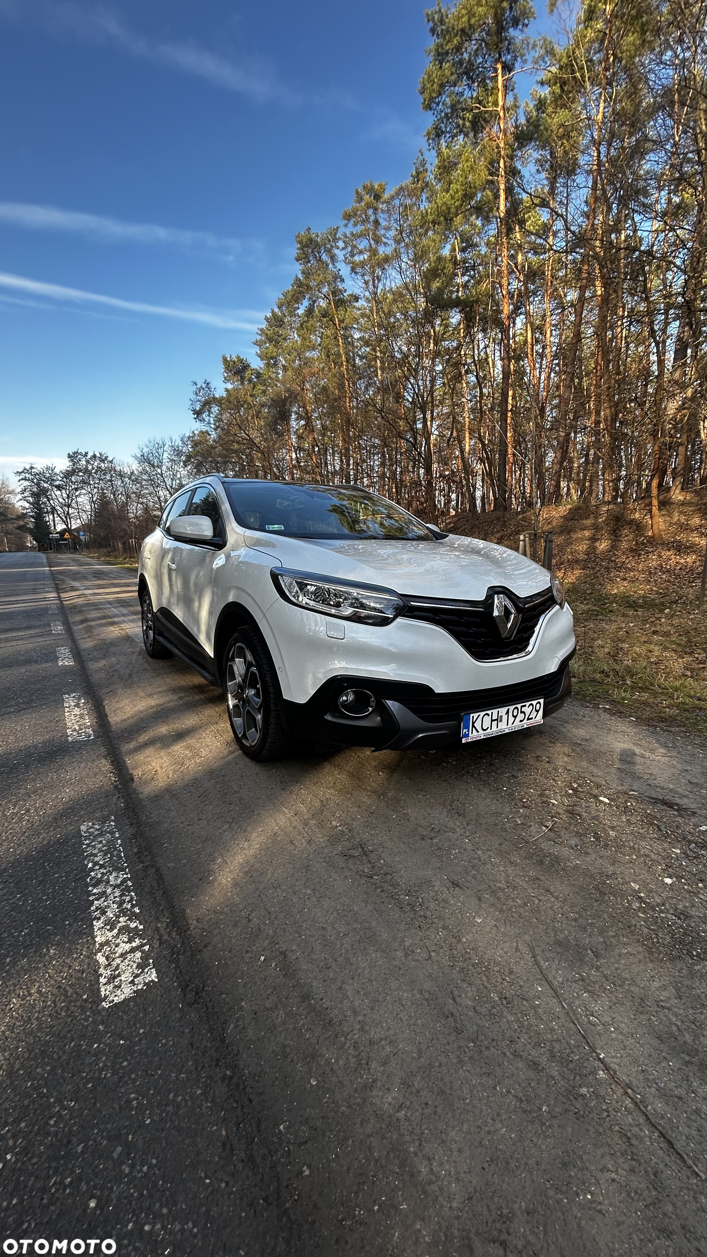 Renault Kadjar 1.2 Energy TCe Limited - 8