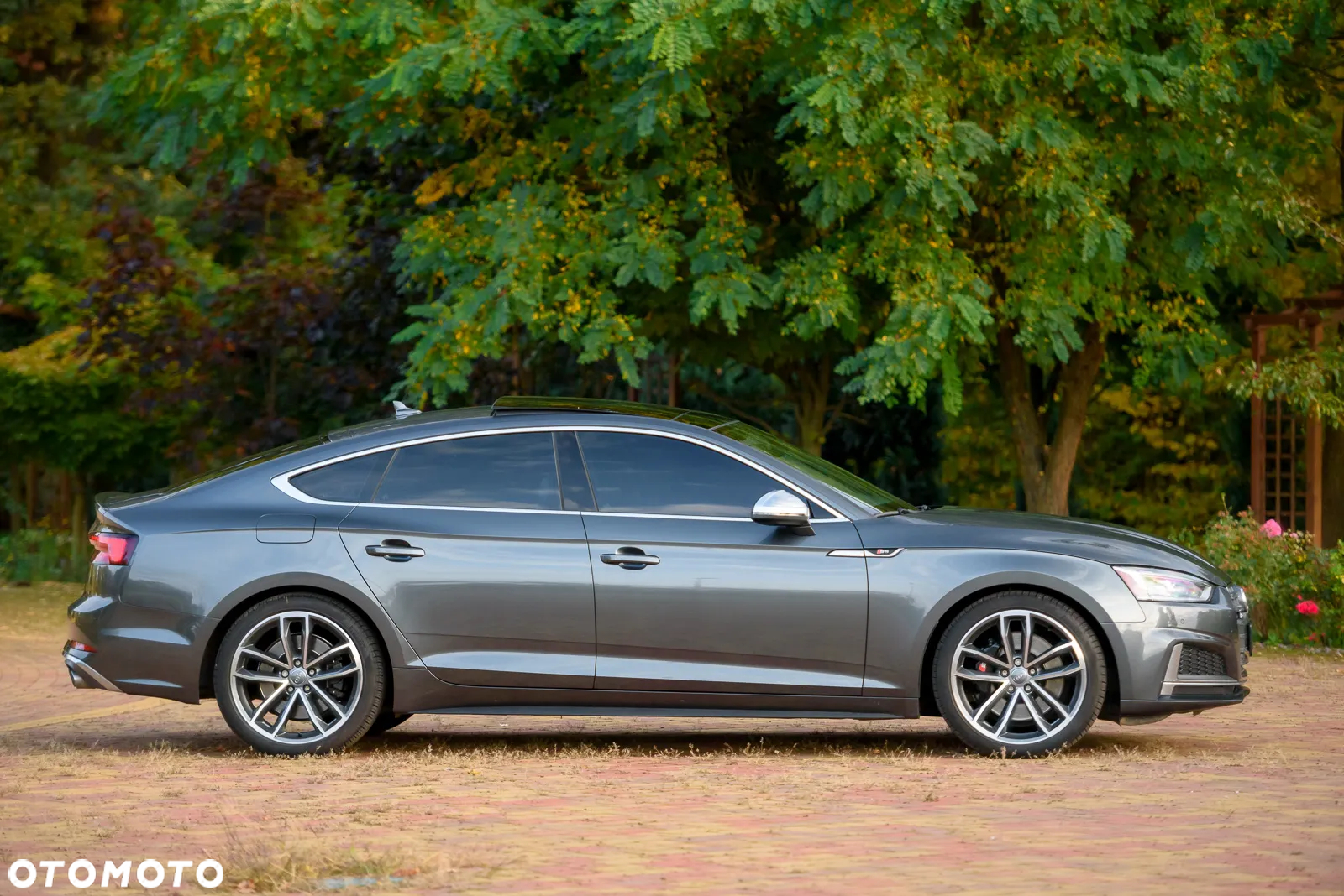 Audi S5 3.0 TFSI Quattro Tiptronic - 4