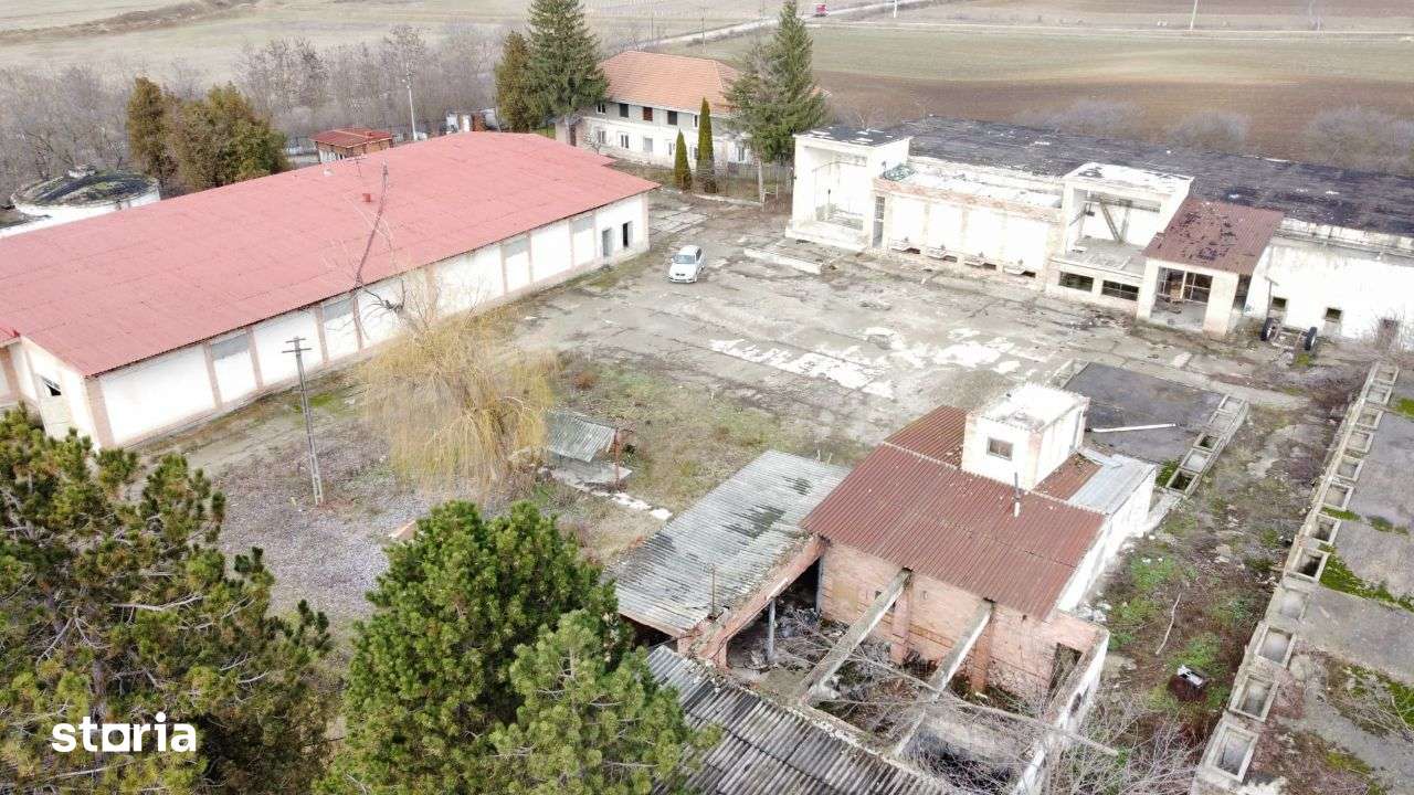 Teren 3 Hectare + Hale - Spatii Productie - Imagine principală: 3/15