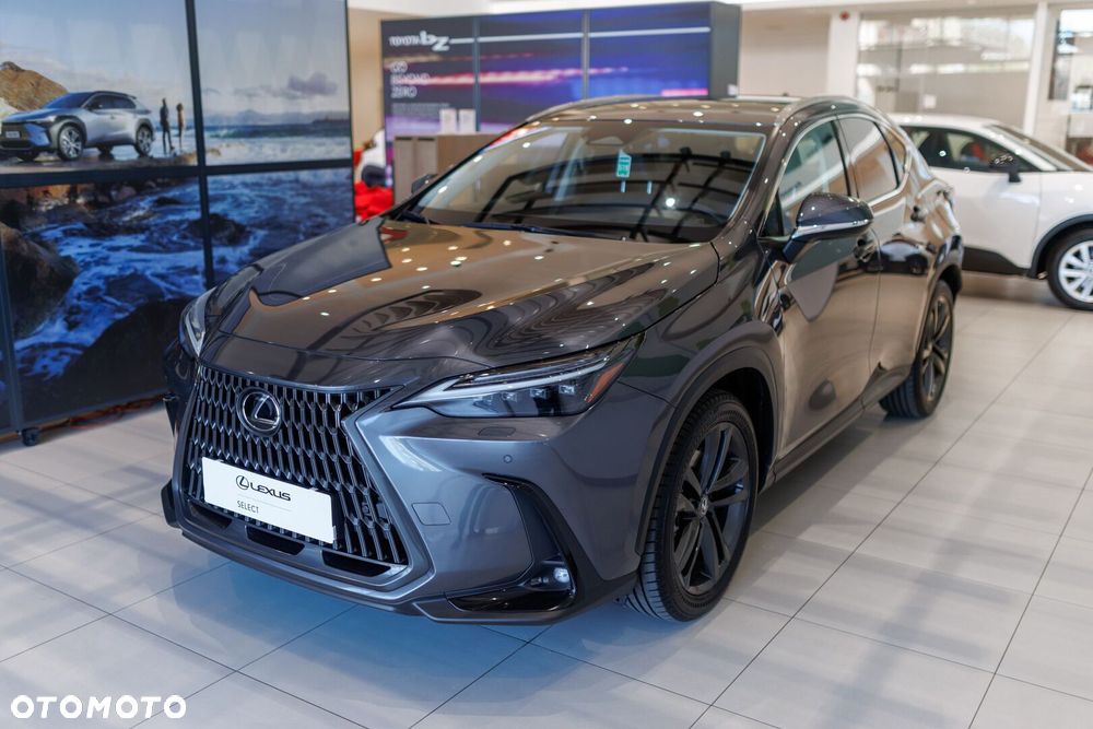 Lexus NX - 10