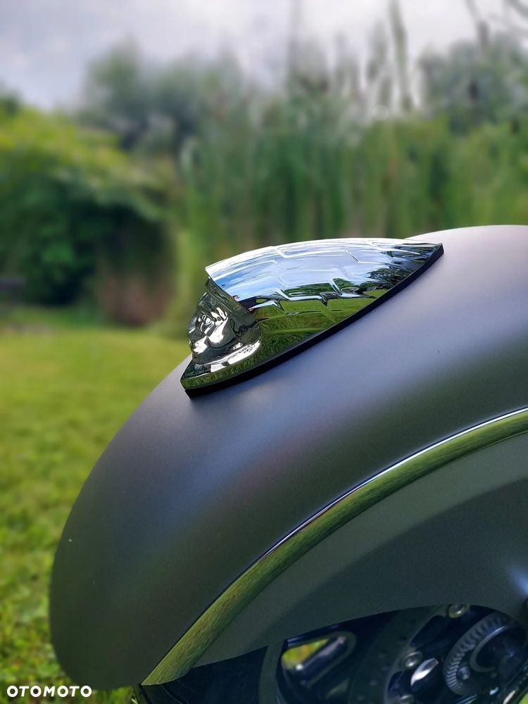 Indian Chieftain - 13