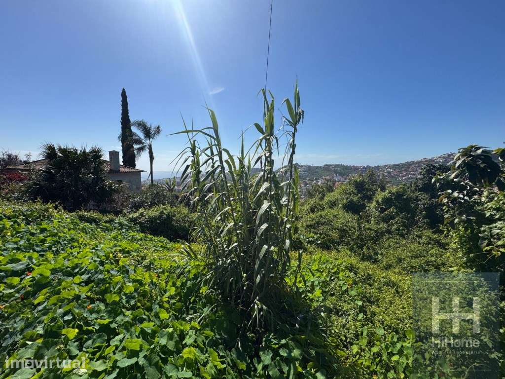 Terreno com 6.090 m² no Funchal, com excelente vista mar e cidade - Grande imagem: 2/11
