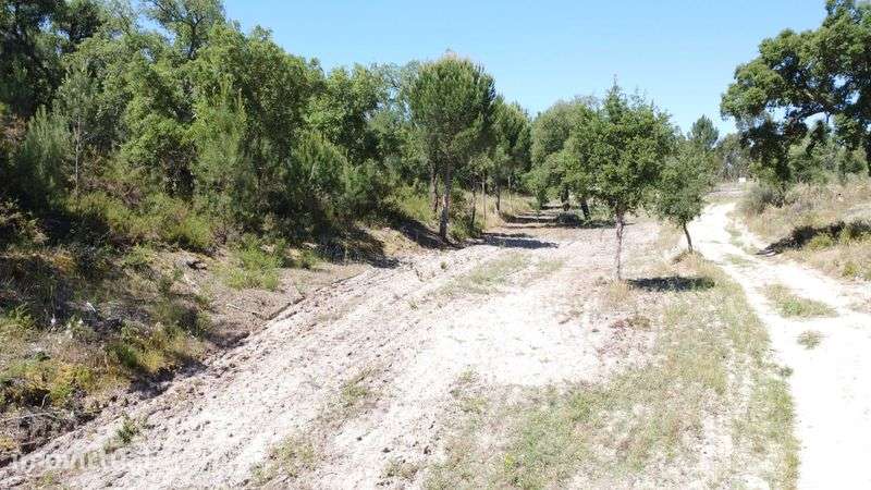 Terreno Rustico com viabilidade de construção - Grande imagem: 5/12