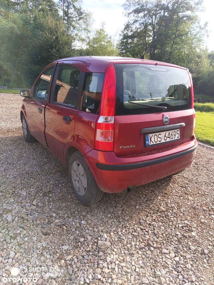 Fiat Panda - 3