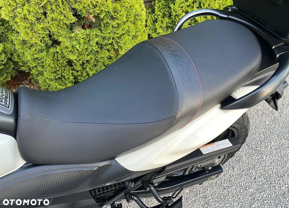 Suzuki V-STROM - 36