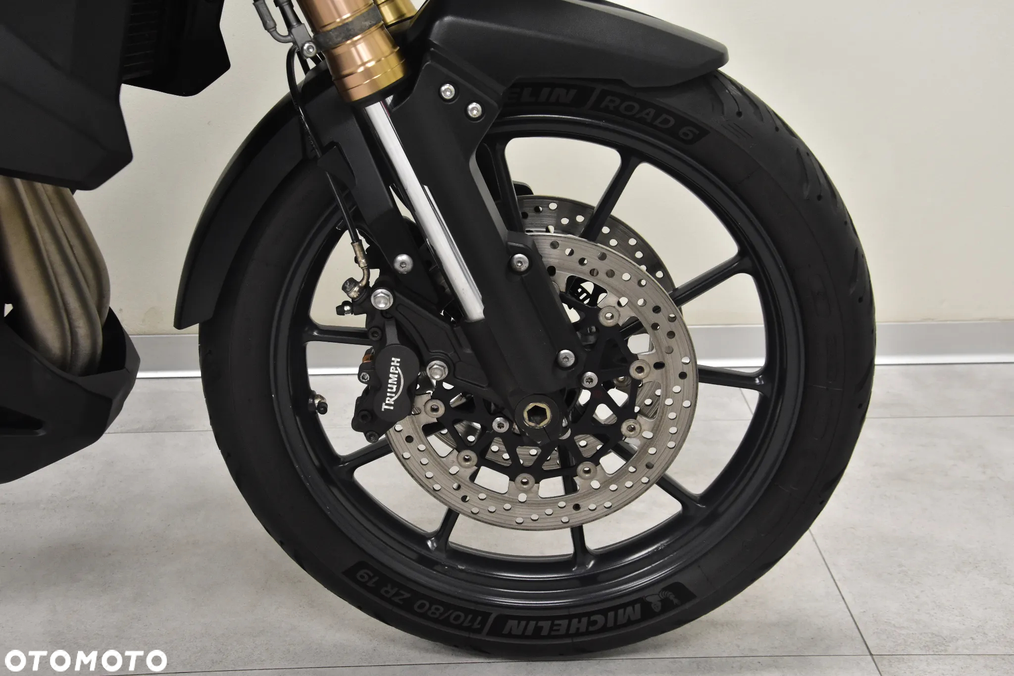 Triumph Tiger - 31
