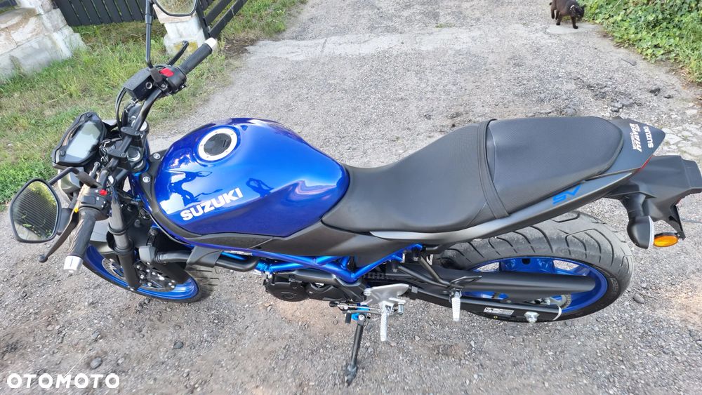 Suzuki SV - 31