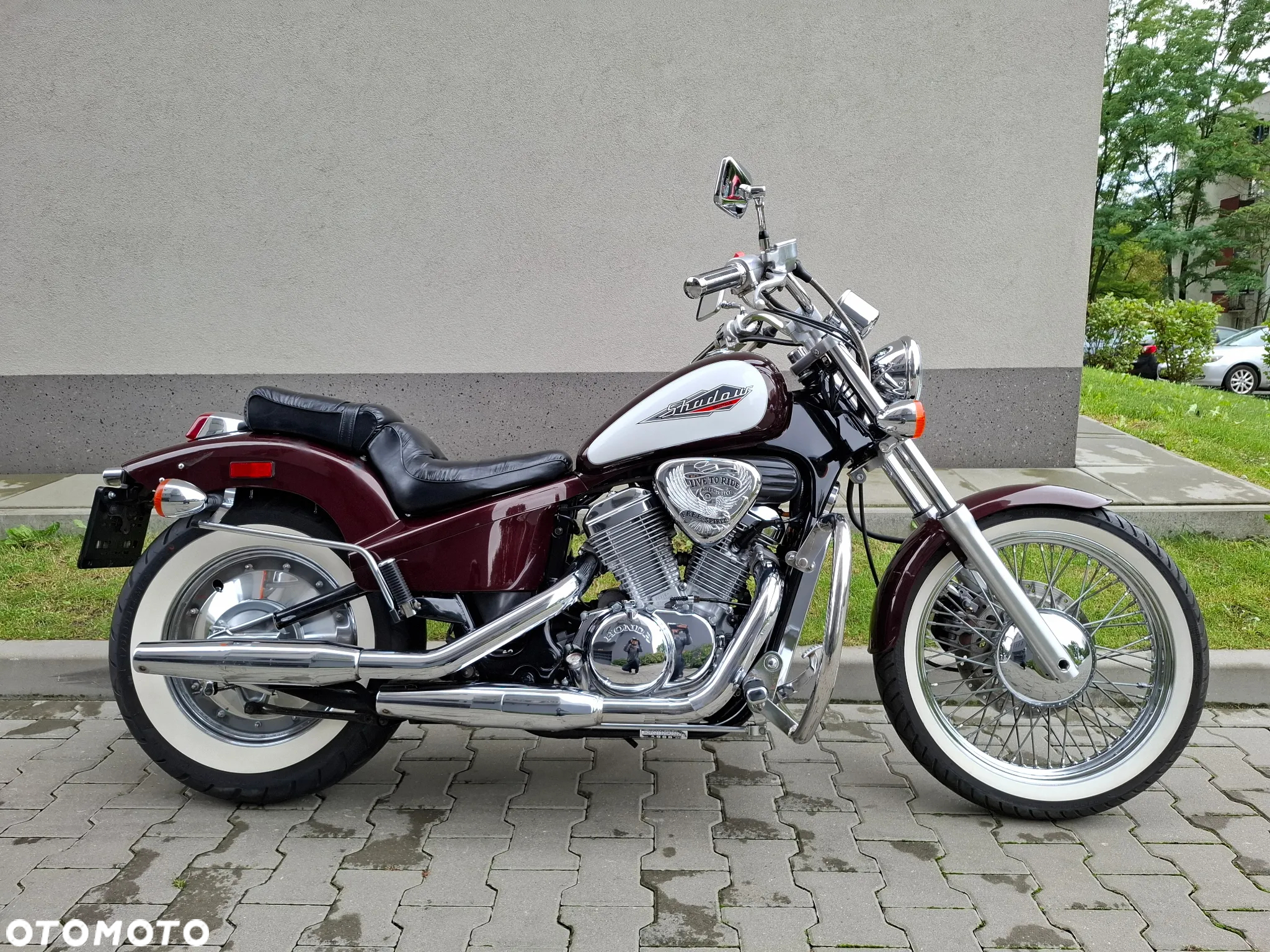 Honda Shadow - 22